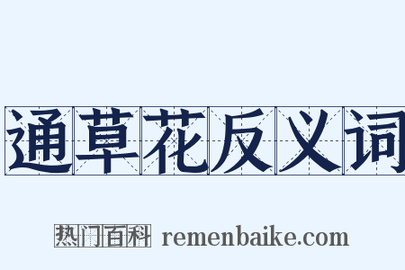 通草花反义词是什么意思的图片